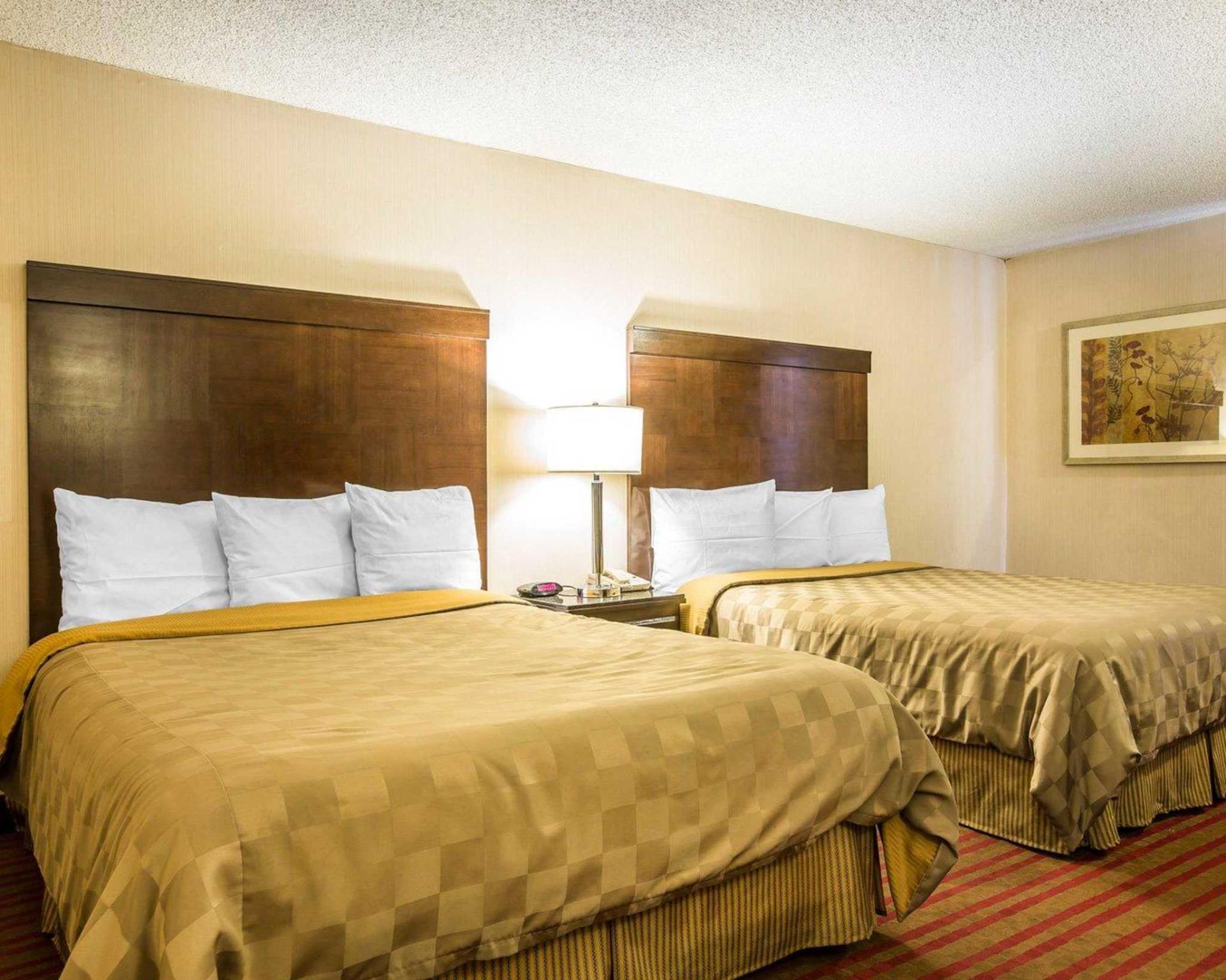 Double Queen Bed